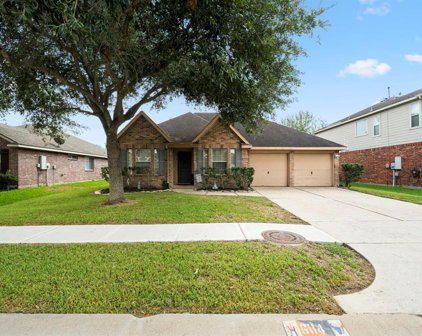 6114 Winter Oak Street, Pearland