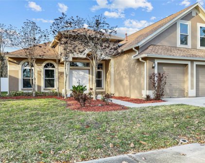 4304 Orange Ridge Court, Valrico