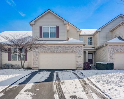 980 Oak Ridge Boulevard, Elgin