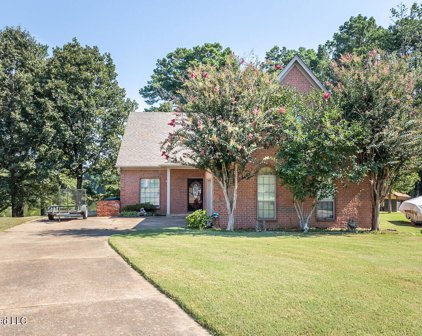 4392 Shiney Point Cove, Southaven