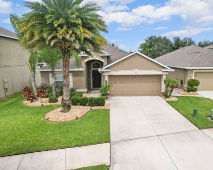 11511 Mansfield Point Drive, Riverview