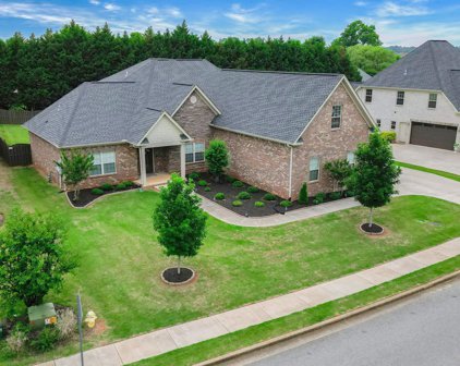 10 Holly Park Blvd, Huntsville