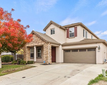 10275 Pedra Do Sol Court, Elk Grove
