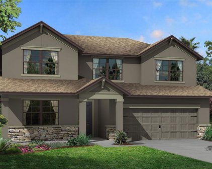7699 Bronze Oak Bend, Wesley Chapel