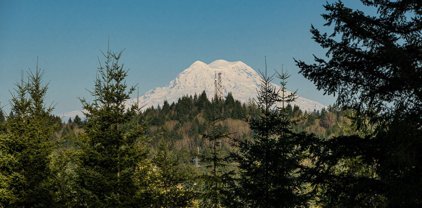 4731 Gold Ridge Lane SW Unit #LOT-5, Olympia