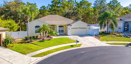14649 Deacon Court, Spring Hill