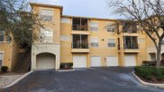 5125 Palm Springs Boulevard Unit 11107, Tampa image
