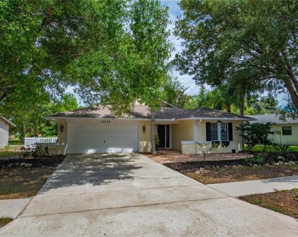 13205 Woodward Drive, Hudson