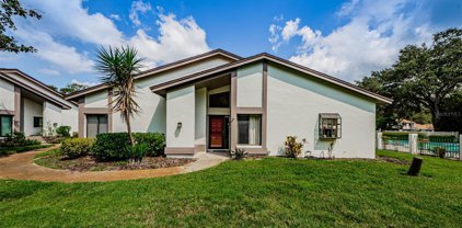 1808 Cypress Trace Drive, Safety Harbor