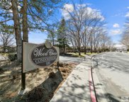 555 E Patriot Boulevard Unit 135, Reno image