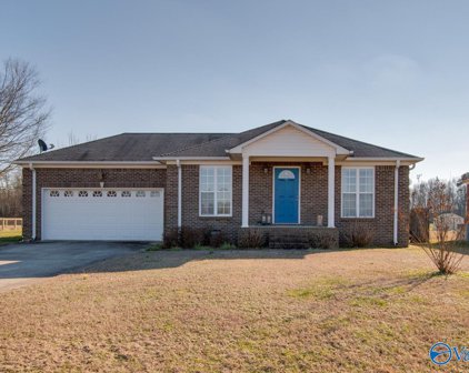 16404 Section Line Road, Elkmont