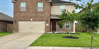 9419 Calm Amber Drive, Iowa Colony