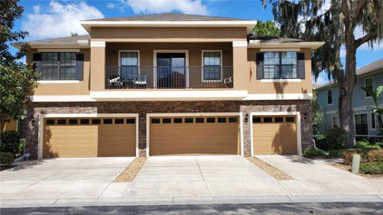16612 Kingletside Court, Lithia