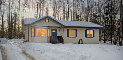 4830 W Ronnie's Circle, Wasilla