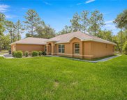 1015 Nw 165th Court Road, Dunnellon image