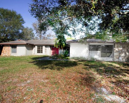 12701 Twin Branch Acres Road, Tampa