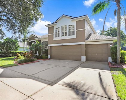 3614 Cordgrass Drive, Valrico