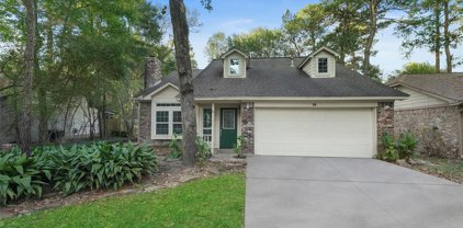 16 Edgewood Forest Court, The Woodlands
