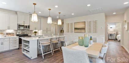 243 Portrait  Way, Indian Trail