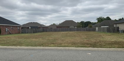 2417 Palisade Dr, Cabot