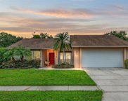 15702 Pinto Place, Tampa image