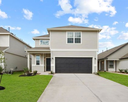 2506 Carp Drive, Conroe
