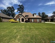 305 Ferncrest Street Sw, Hartselle image