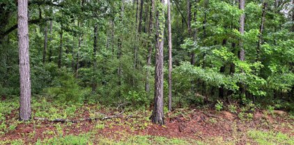 4304 Edge Drive, Albany