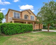 1440 Tawnyberry Court, Trinity image