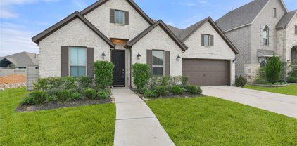 2234 Bayleaf Manor Drive, Manvel