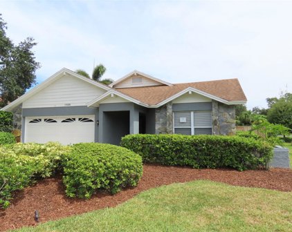 14501 Brambie Court, Tampa