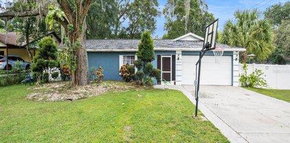 10322 N 53rd Street, Temple Terrace