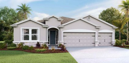 3510 Crooked River Drive, Plant City