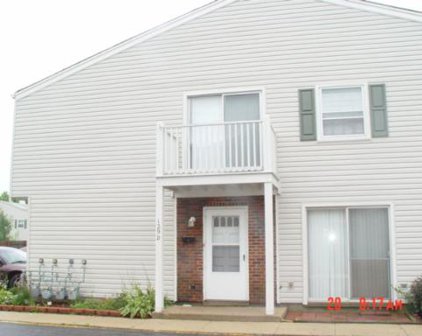 129 Lucille Court Unit #D, Bartlett