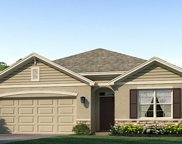 18007 Canopy Place, Bradenton image