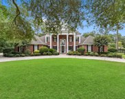 22210 Holly Lakes Drive, Tomball image