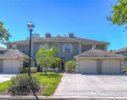 14106 Trouville Drive, Tampa image