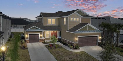 6967 Talamore Drive, Wesley Chapel