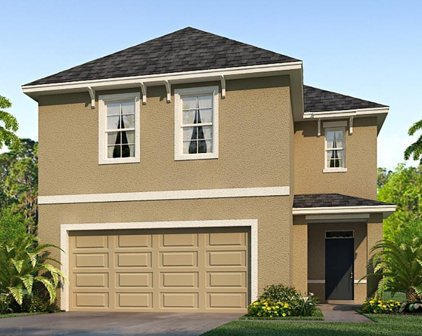 33552 Barberry Leaf Way, Wesley Chapel