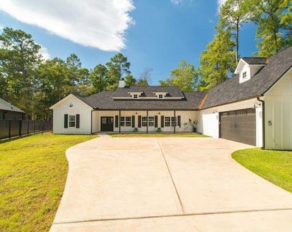5 W Forest Ct, Conroe