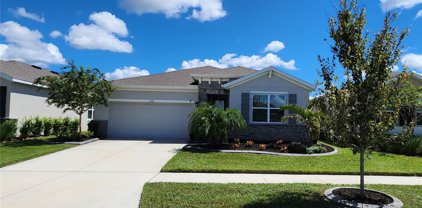 13233 Waterleaf Garden Circle, Riverview