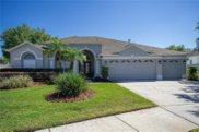 10109 Queens Park Drive, Tampa image