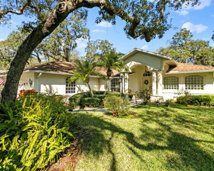 963 Ridgewood Terrace, Tarpon Springs