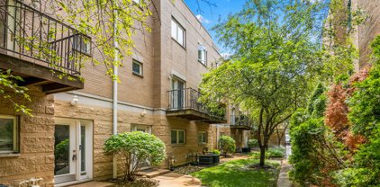 919 W Leland Avenue Unit #D, Chicago