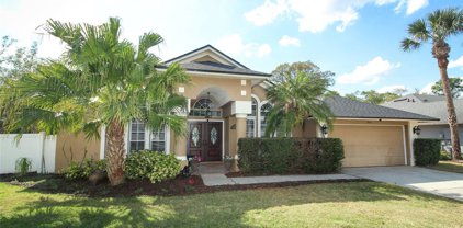 3087 Goldsboro Place, Oviedo
