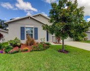 10238 Strawberry Tetra Drive, Riverview image