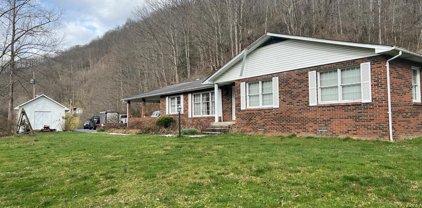 1340 Greenbrier Mountain Road, Panther