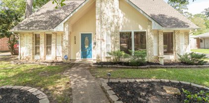 2215 Middle Creek Drive, Houston
