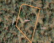 216 Timber Pl, La Vernia image