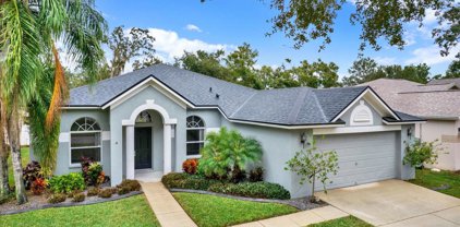 2647 Brookville Drive, Valrico